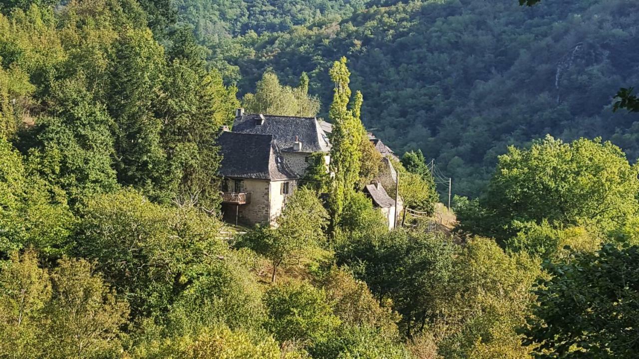 La Maisonnette Villa Entraygues-sur-Truyère Exteriör bild